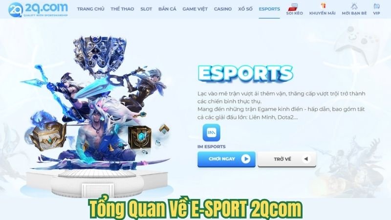 E-SPORT 2Qcom - Cá Cược Thể Thao Điện Tử Thú Vị 2024 1 tong-quan-ve-e-sport-2qcom