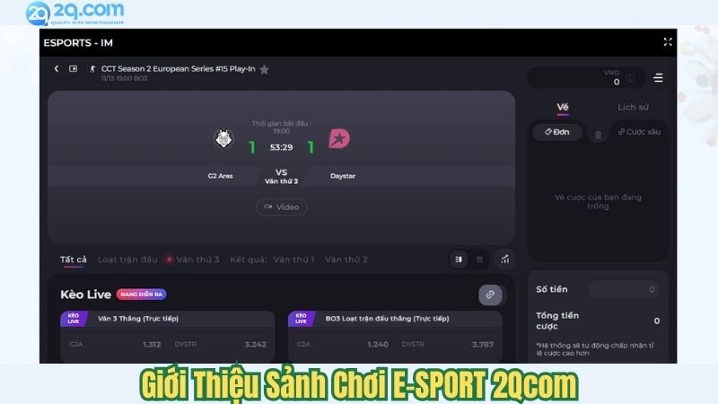 E-SPORT 2Qcom - Cá Cược Thể Thao Điện Tử Thú Vị 2024 2 gioi-thieu-sanh-choi-e-sport-2qcom