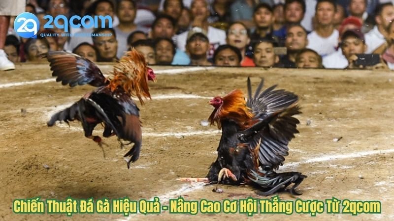 chien-thuat-da-ga-hieu-qua