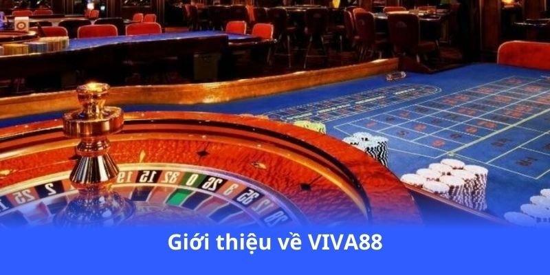 gioi-thieu-ve-viva88
